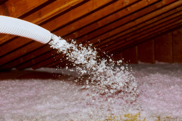 Best Insulation Contractors for Homes  in Big Pine, CA