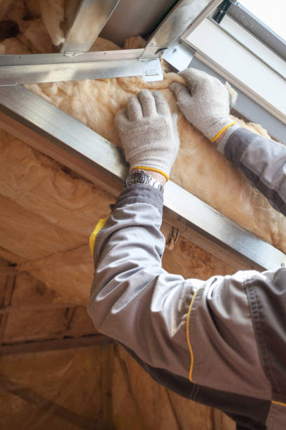 Best Cellulose Insulation  in Big Pine, CA