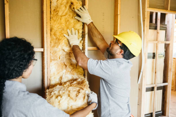 Best Garage Insulation Installation  in Big Pine, CA