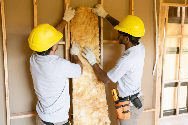 Best Home Insulation Services  in Big Pine, CA